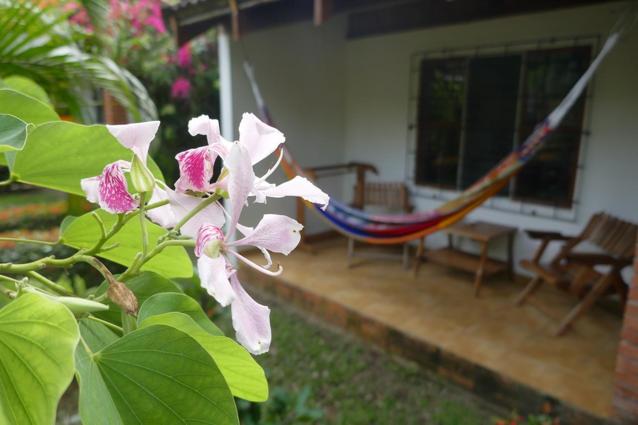 Escape Caribeno Hotel Puerto Viejo de Talamanca Exterior photo
