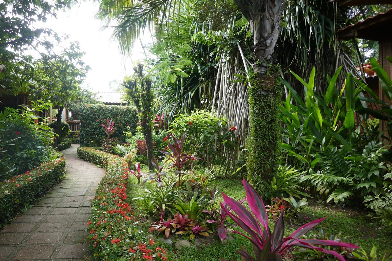 Escape Caribeno Hotel Puerto Viejo de Talamanca Exterior photo